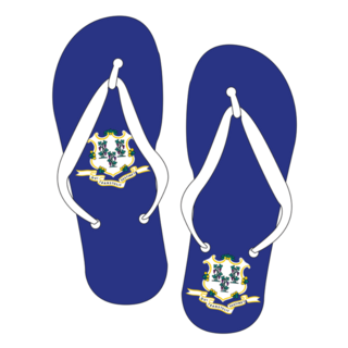 Connecticut State Flag Flip Flop Shoes Sticker