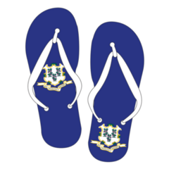 Connecticut State Flag Flip Flop Shoes Sticker