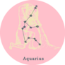 Constellation Of Aquarius Symbol Sticker