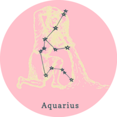 Constellation Of Aquarius Symbol Sticker