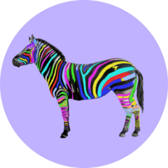 Contemporary Art Collage Colorful Zebra Sticker