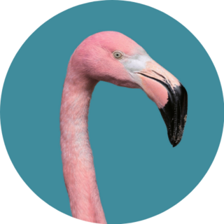 Contemporary Art Collage Flamingo On Aqua Sticker