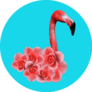 Contemporary Art Collage Flamingo Rose On Blue Sticker