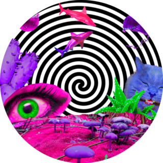 Contemporary Art Psychedelic Mushroom Illustration Sticker