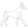 Continuous Doberman Standing