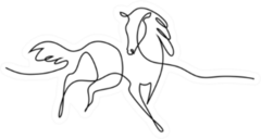 Continuous One Line Drawing Horse Logo Sticker
