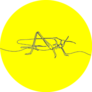 Continuous One Single Line Drawing Icon Of Grasshopper Sticker