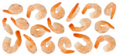 Cooked Refined Shrimps Sticker