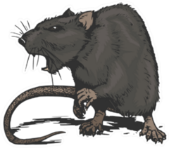 Cool Aggressive Angry Rat Comic Sticker