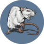Cool Aggressive Angry Rat Comic Style Illustration Sticker