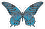 Cool and Cute Blue Butterfly Sticker