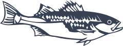 Cool Bass Fish Fishing Sticker