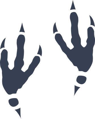 Cool Bird Footprints Sticker