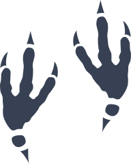 Cool Bird Footprints Sticker