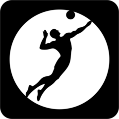 Cool Black Volleyball Icon Sticker