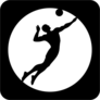 Cool Black Volleyball Icon Sticker