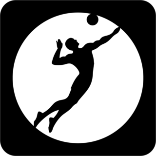 Cool Black Volleyball Icon Sticker