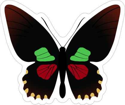 Cool Butterfly Sticker