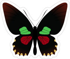 Cool Butterfly Sticker