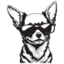 Cool Chihuahua Sticker