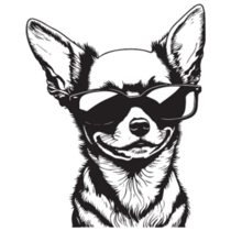 Cool Chihuahua Sticker