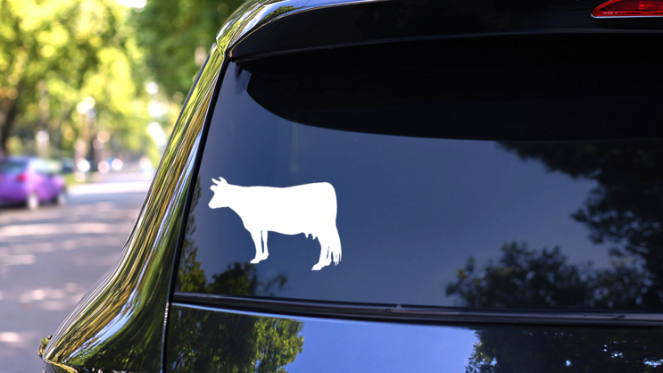 Cool Cow Sticker on a Rear Car Window (New) example