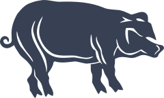 Cool Detailed Pig Sticker