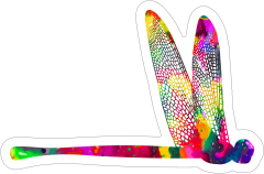 Cool Dragonfly Sticker