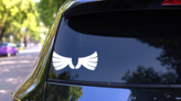 Cool Feathered Wings Sticker on a Rear Car Window (New) example