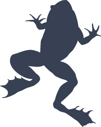 Cool Frog Toad Sticker