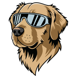 Cool Golden Retriever Sticker