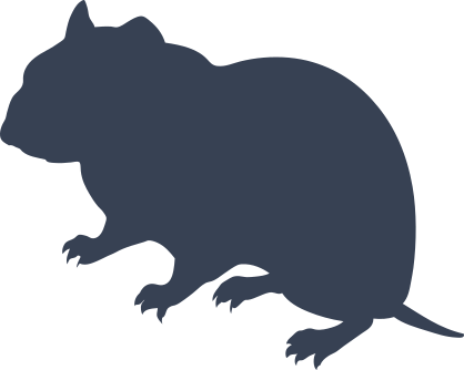 Cool Hamster Sticker