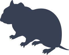 Cool Hamster Sticker