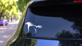 Cool Horse Outline Sticker on a Rear Car Window (New) example