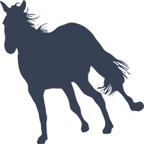 Cool Horse Running Away Sticker