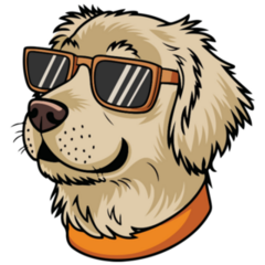 Cool Kid Golden Sticker