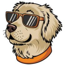 Cool Kid Golden Sticker