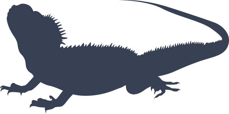 Cool Lizard Gecko Sticker