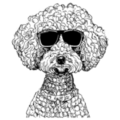Cool Poodle Dog Glasses Sticker