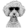 Cool Poodle Dog Glasses Sticker