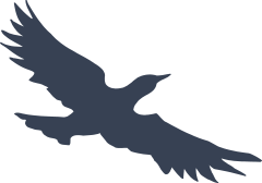 Cool Seagull Sticker