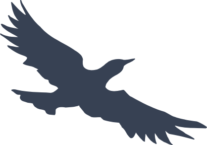 Cool Seagull Sticker