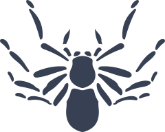 Cool Simple Spider Sticker