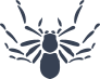 Cool Simple Spider Sticker