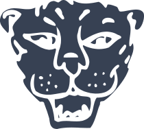 Cool Tiger Head Sticker