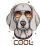 Cool Weimaraner Sticker