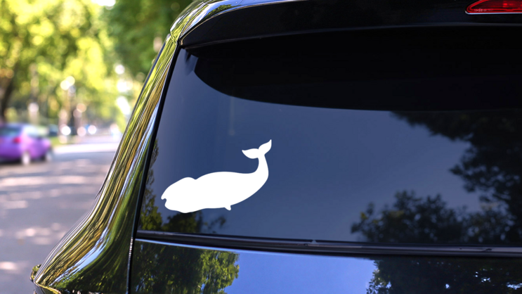 Cool Whale Sticker on a Rear Car Window (New) example
