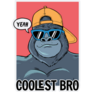 Coolest Bro Gorilla Sticker