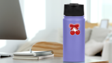 Coquette Ruffle Bow Sticker on a Water Bottle (New) example