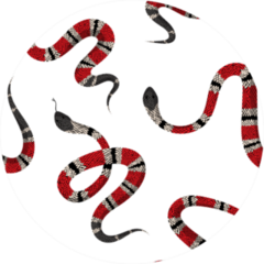 Coral Snakes Seamless Pattern Sticker